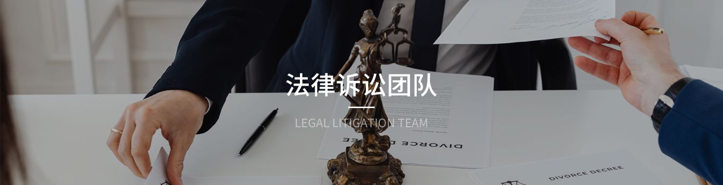 三聚陽(yáng)光知識(shí)產(chǎn)權(quán)律師訴訟團(tuán)隊(duì)